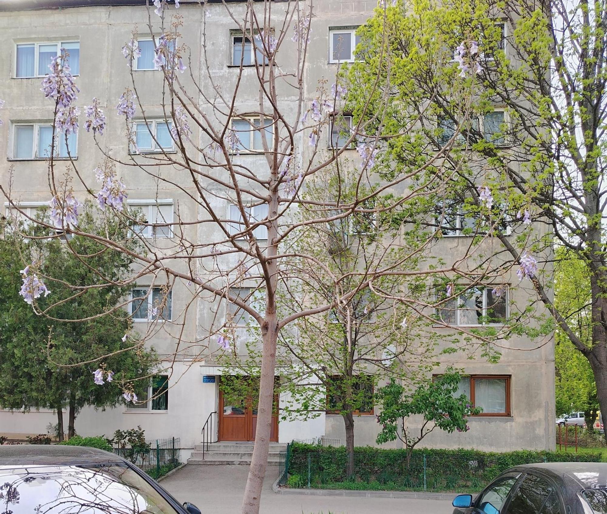 Arka Apartment 克拉奥华 外观 照片
